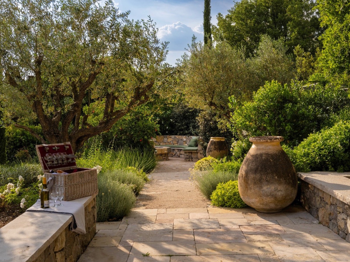 A gravel path through olive trees and old terracotta jars